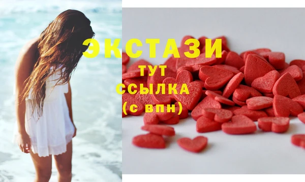 индика Няндома