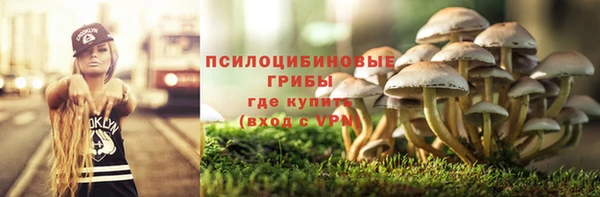 твердый Белокуриха