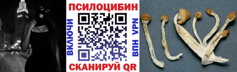 Галлюциногенные грибы Psilocybine cubensis  Верхняя Пышма 